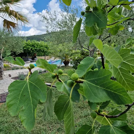 Castelletto Parenzana Villa