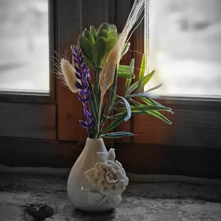 Willa Castelletto Parenzana Motovun