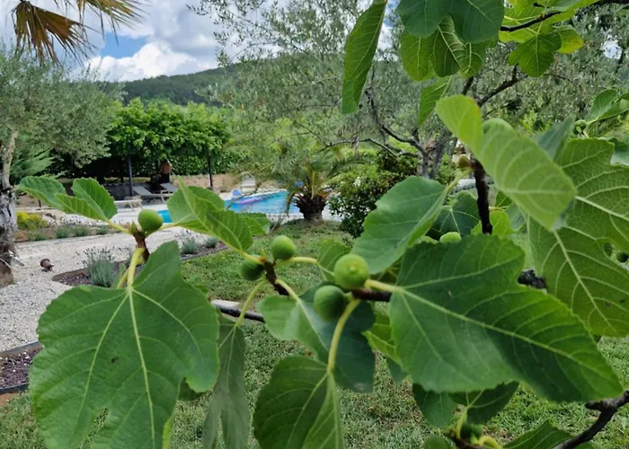 Castelletto Parenzana Villa