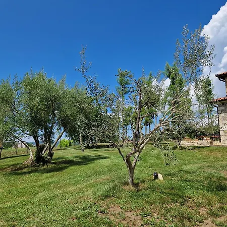 Vila Castelletto Parenzana Motovun